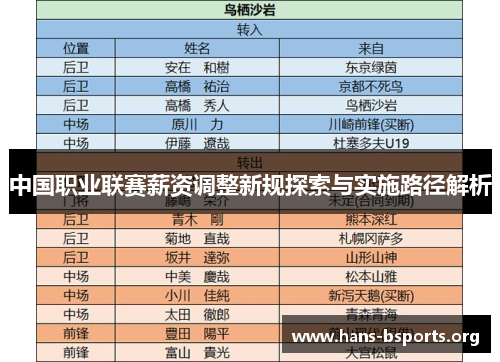 中国职业联赛薪资调整新规探索与实施路径解析