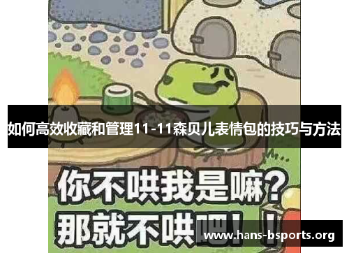 如何高效收藏和管理11-11森贝儿表情包的技巧与方法