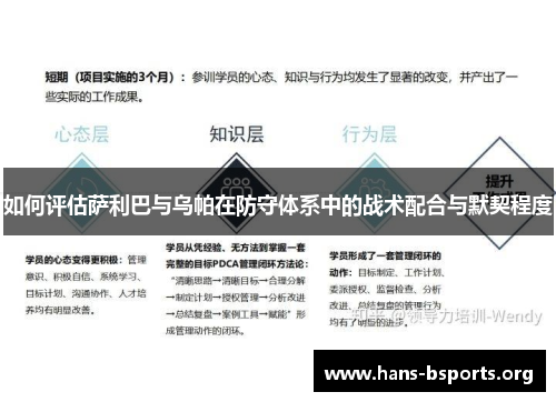 如何评估萨利巴与乌帕在防守体系中的战术配合与默契程度